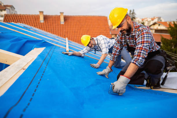 Best Roof Maintenance Services  in Tavares, FL